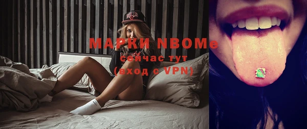 гашик Алексеевка
