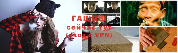 гашик Алексеевка