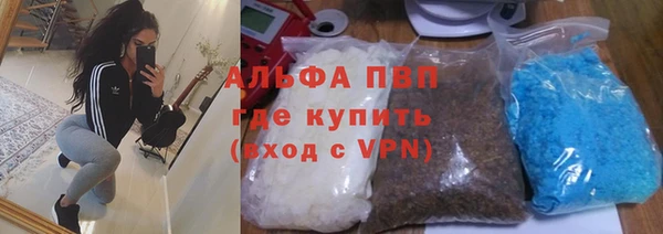 гашик Алексеевка