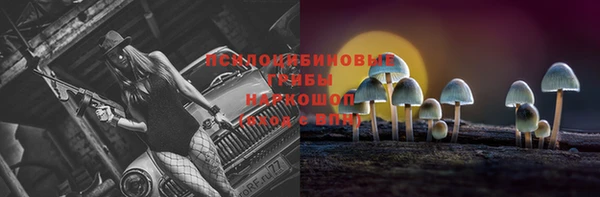 гашик Алексеевка