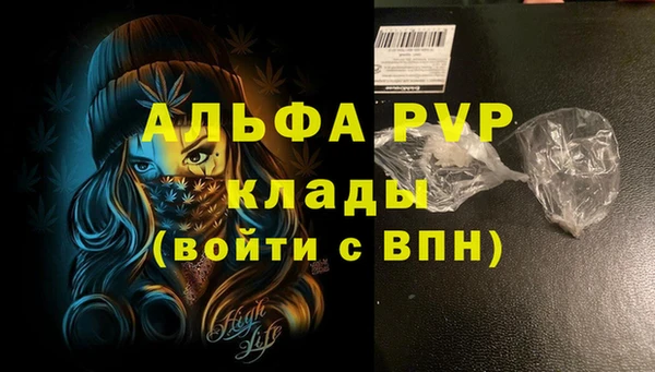 гидра Грязи