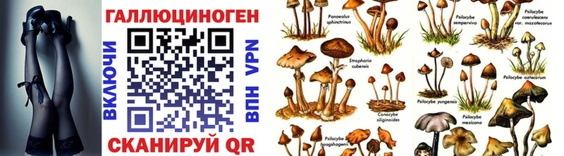 Галлюциногенные грибы Magic Shrooms  Киреевск 