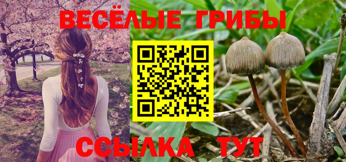 Конопля  Мефедрон  МАРИХУАНА  NBOMe  Гашиш  Альфа ПВП СК кристаллы  Меф   Киреевск  Вход с VPN 