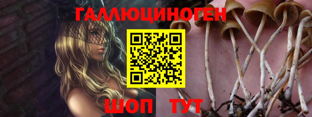 Киреевск  Галлюциногенные грибы Psilocybine cubensis  Галлюциногенные грибы мухоморы  Вход с VPN 